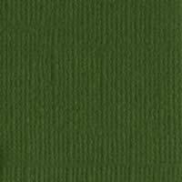 Bazzill Karton 12x12" - Ivy