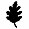 Punch - White Oak (M)