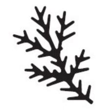 Punch - Pine Branch (M/L) - Martha Stewart
