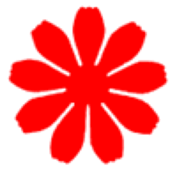 Punch - Sunflower (M)