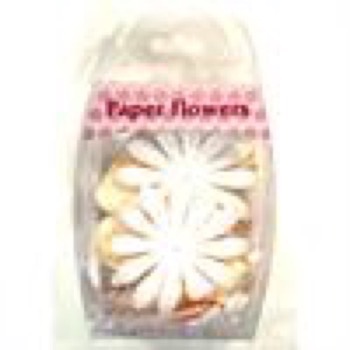 Paper Flowers - Bridal