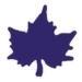 Punch - Ahornblad / Maple (M)