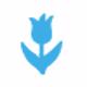 Punch - Tulip (M)