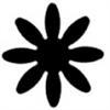 Punch - Daisy / Leone (L)