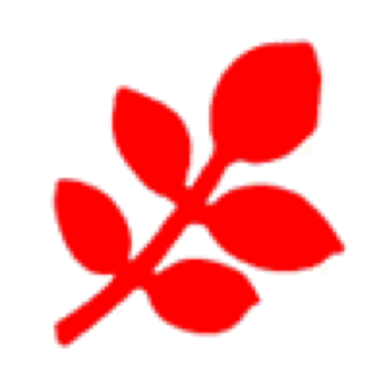 Punch - Ash Leaf (L)
