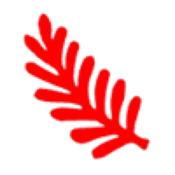 Punch - Fern (L)